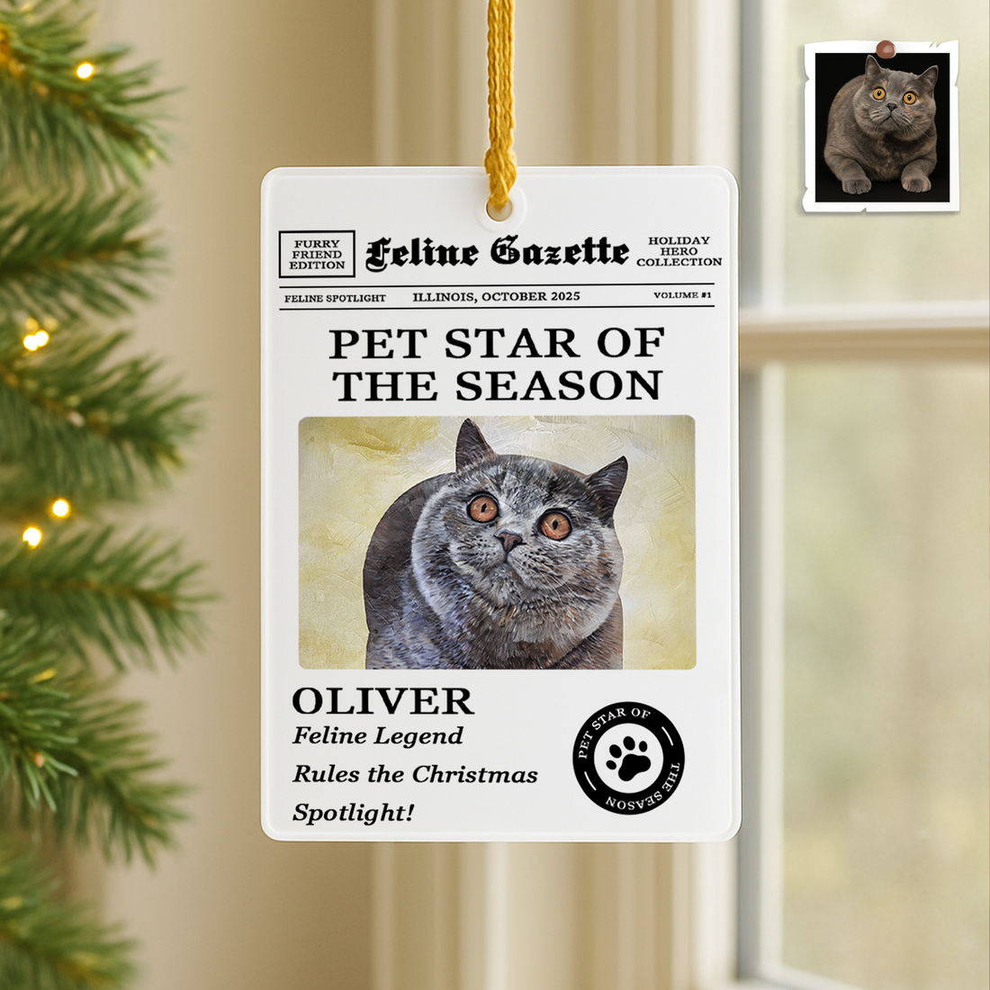 Paws & Tails - Pet Star of the Season - Custom Acrylic Photo Ornament