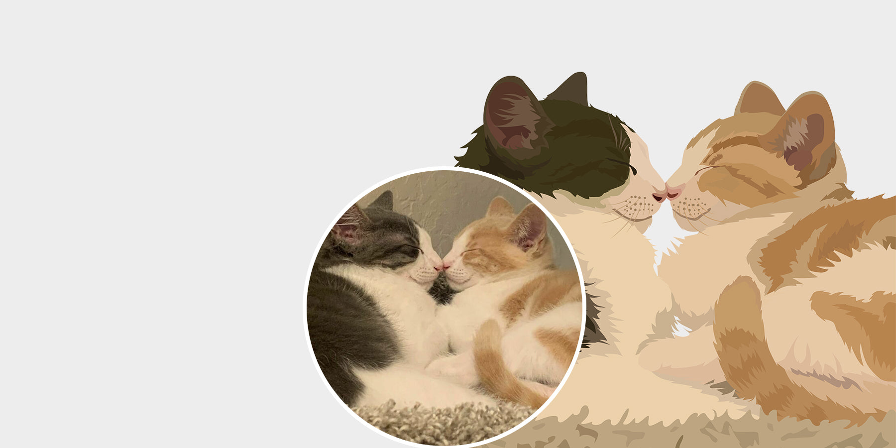 Two catsslider_item_ancN7H