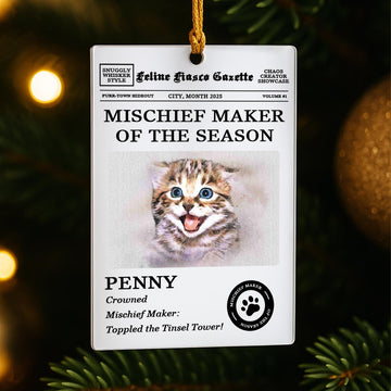 Paws & Purrs - Mischief Makers of the Season - Pet Custom Acrylic Ornament