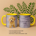 Personalized Pet Portrait Mug, Turn Photo to Oil Painting Style Art Gift, Accent Coffee Mug (11, 15oz) - BeUnikArt